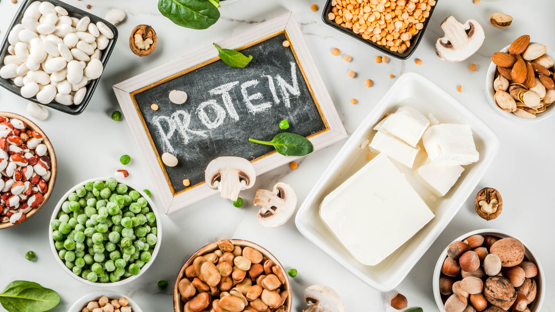 Para que serve e o que a proteína faz em no nosso corpo