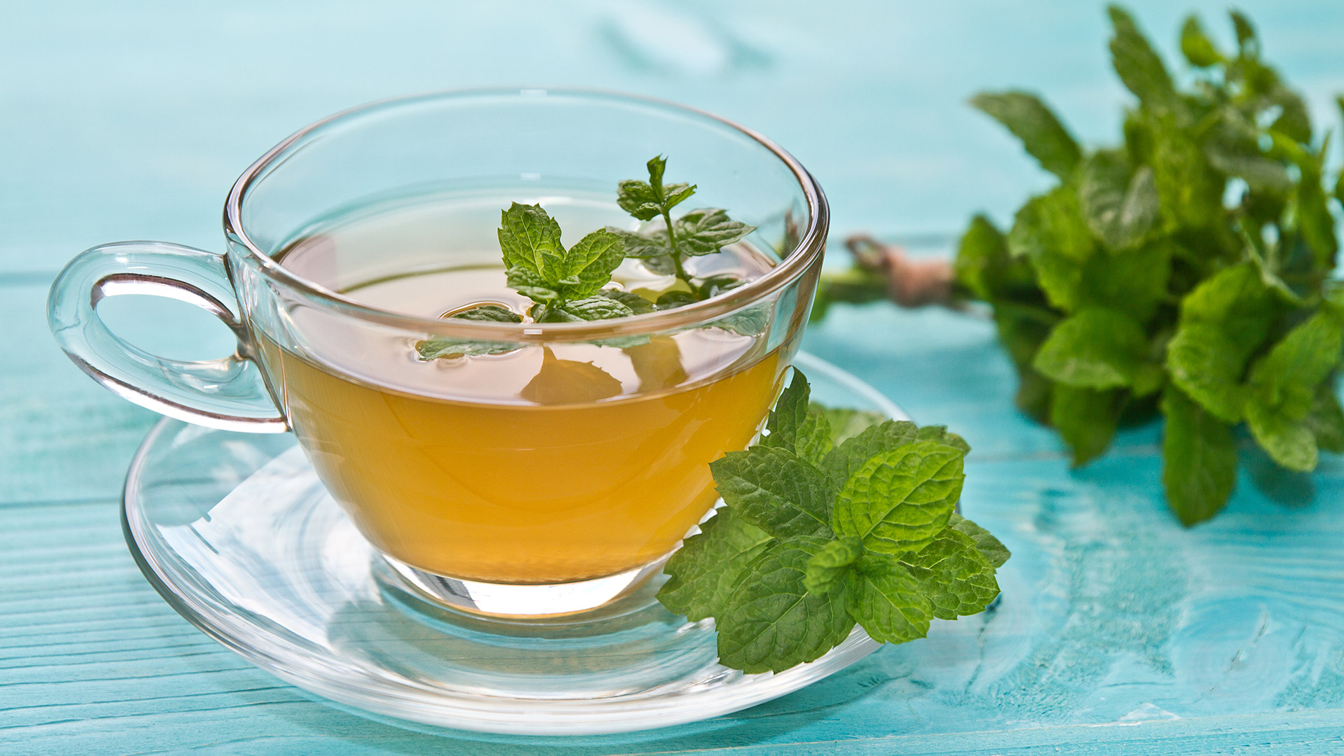 Chá de hortelã: Seus benefícios e como fazer para emagrecer