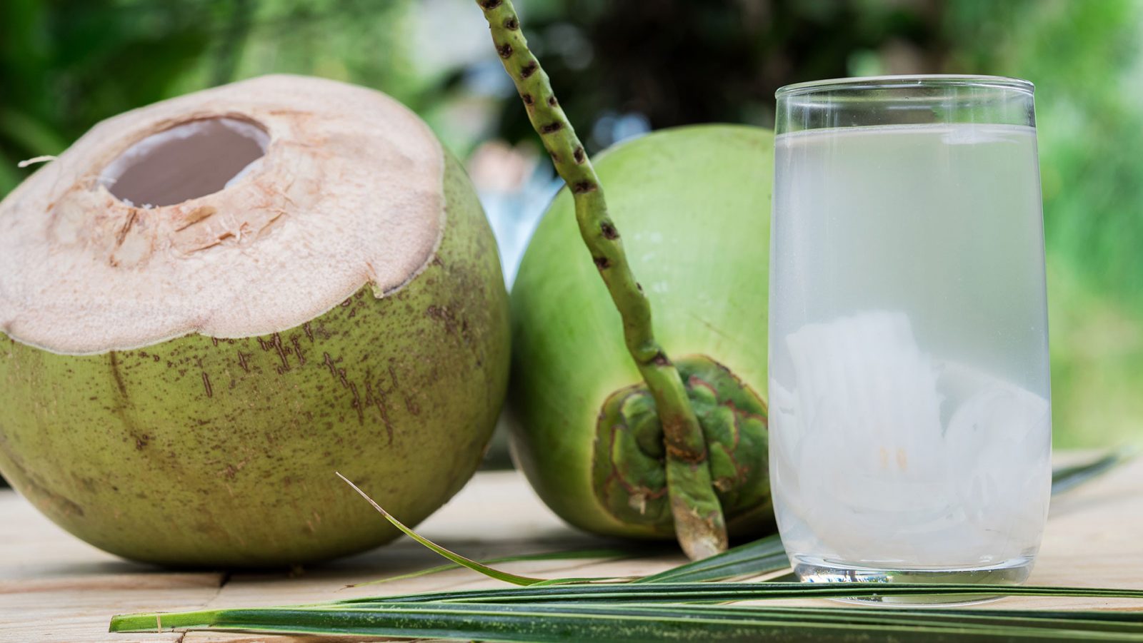 10 Benefícios da água de coco para a sua saúde