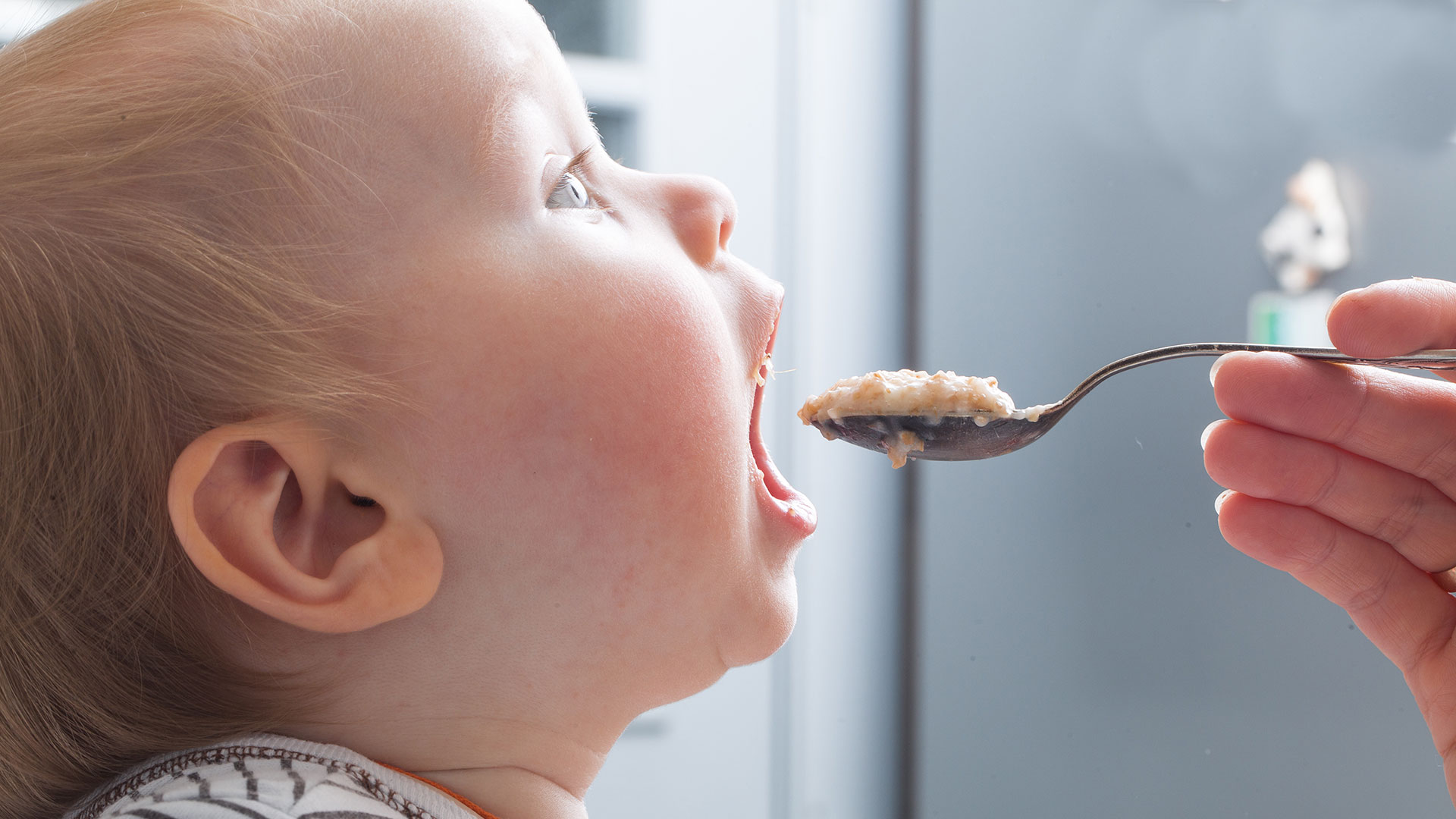 A alimentação nos primeiros 1000 dias do bebê