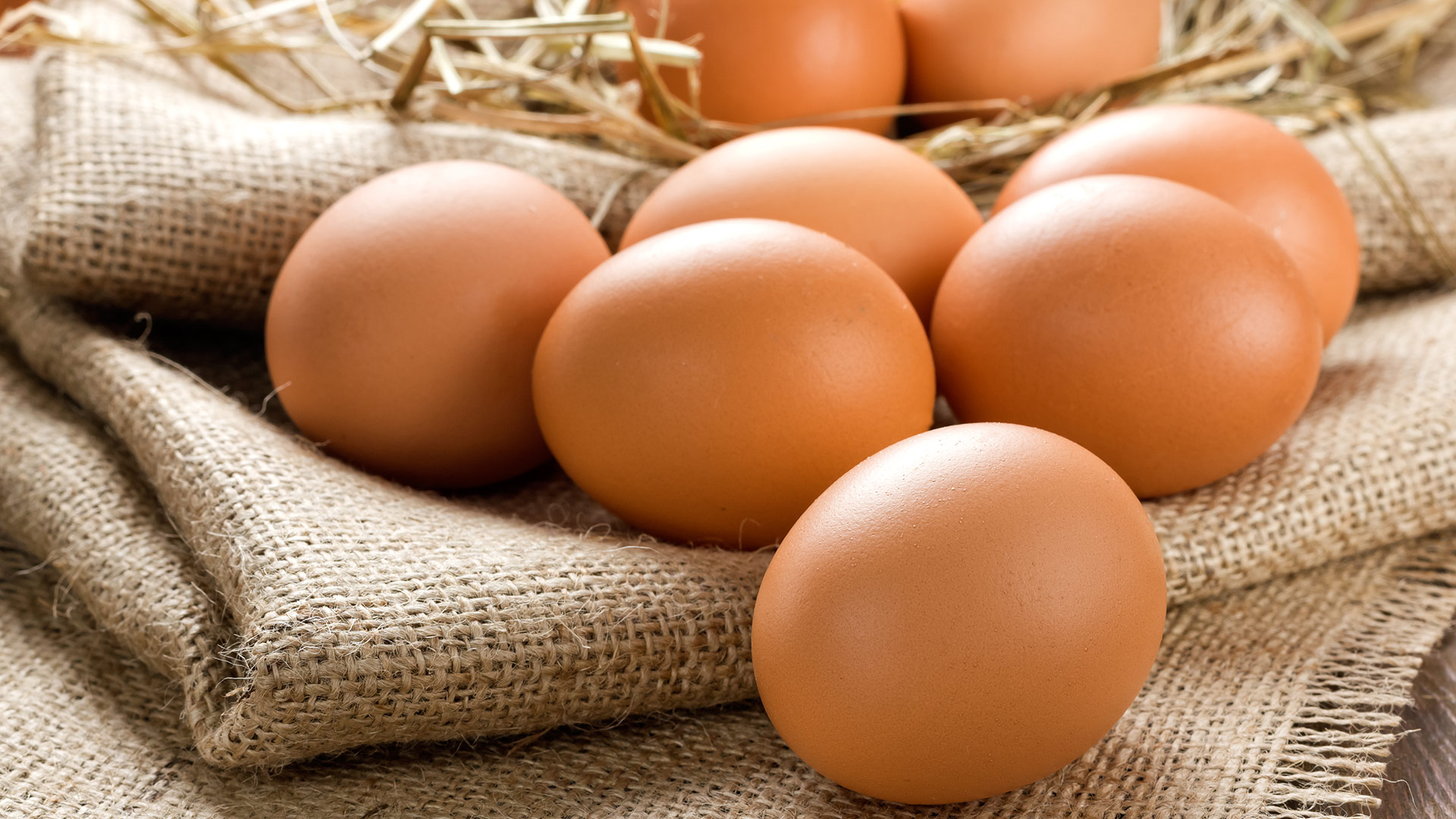 Benefícios do ovo: o que torna este alimento tão especial?
