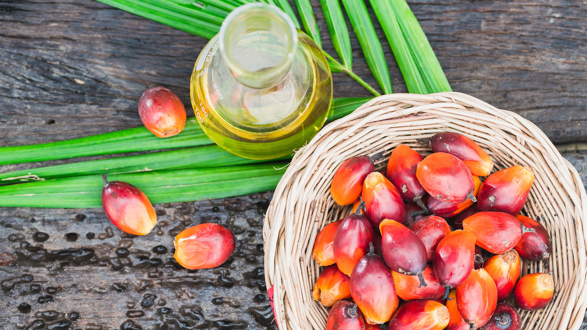 É verdade que o óleo de palma é cancerígeno ou faz mal a saúde?