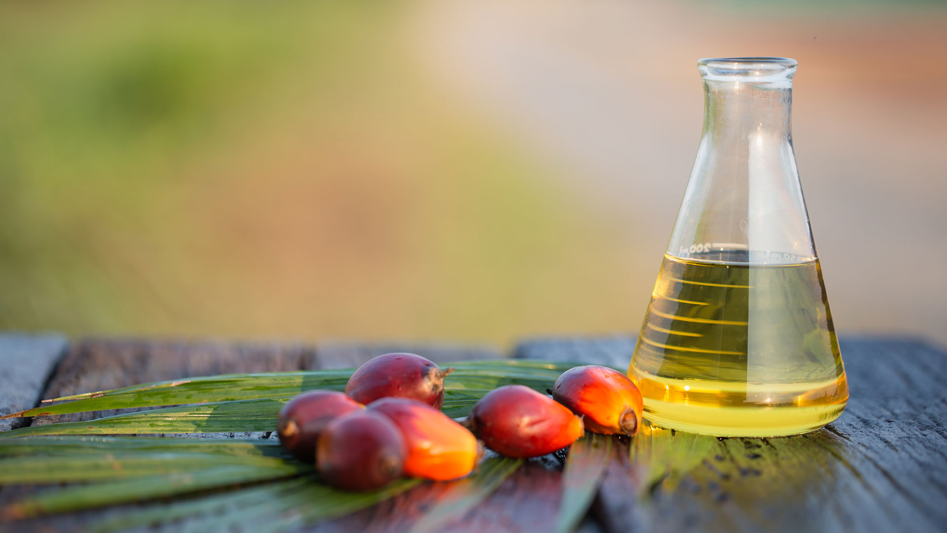 O que e oleo de palma (azeite de dendê) e quais seus benefícios
